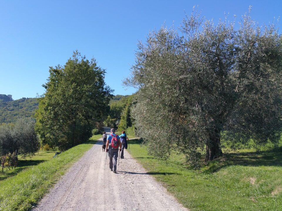 Sulla via di Francesco: in cammino da Spoleto ad Assisi